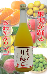 【送料別】梅乃宿(うめのやど) あらごしりんご酒720ml